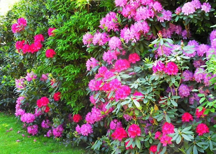 Von BargenFerienwohnung Cuxhaven